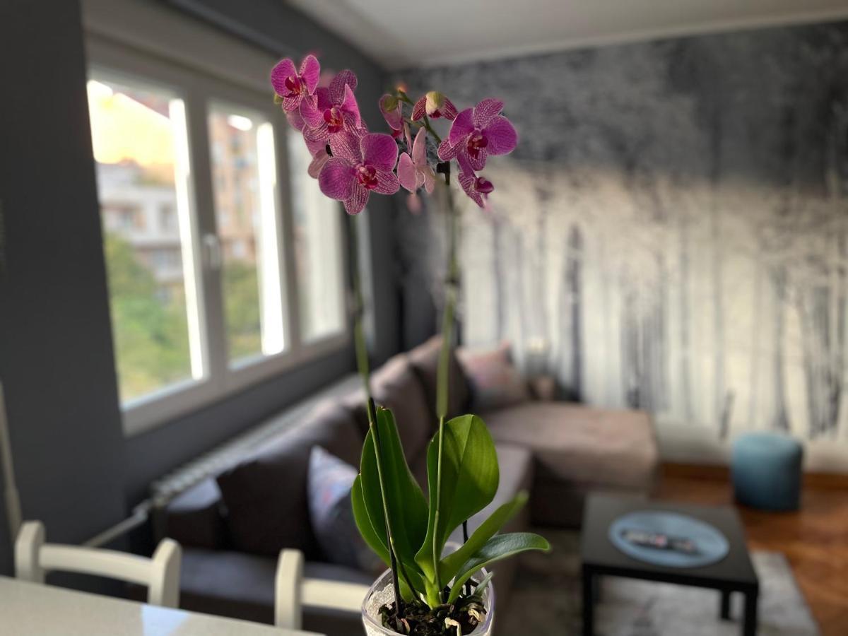 Apartman Avenia Novi Sad Extérieur photo
